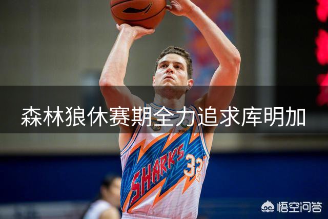 森林狼休赛期全力追求库明加